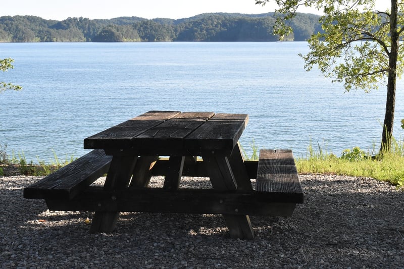 Outdoor Picnics